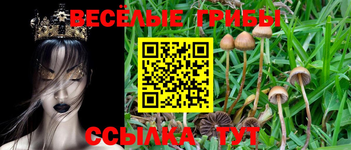 Псилоцибиновые грибы GOLDEN TEACHER  Псилоцибиновые грибы MAGIC MUSHROOMS  Морозовск  Вход с VPN 