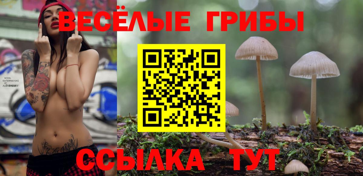Псилоцибиновые грибы Psilocybine cubensis Морозовск
